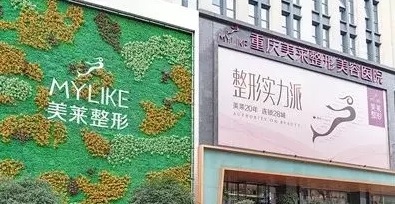 重慶美萊被重慶三峽博物館和重慶圖書(shū)館持久收藏