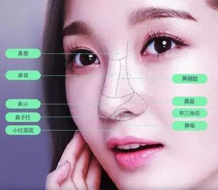 肋軟骨、耳軟骨...隆鼻材料有什么區(qū)別？怎么選擇？