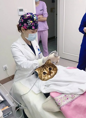 專訪美膚硬核女神 ▏將美麗當(dāng)作一生的事業(yè)來堅(jiān)守！