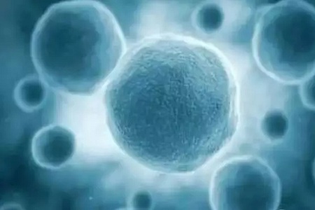 做牙齒矯正 ，真的要趁早！