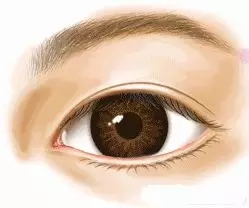 市面上五花八門的雙眼皮項目，如何有效找到你的菜？