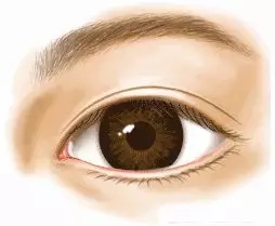 市面上五花八門的雙眼皮項目，如何有效找到你的菜？