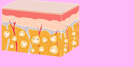 夏天來臨前享“瘦”的正確姿勢，原來是……