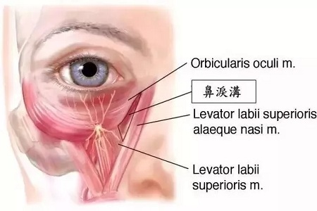顯老淚溝，你還要任其放肆嗎？