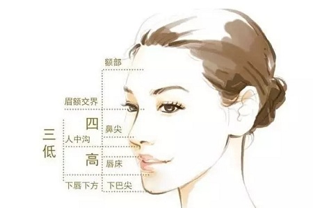 假體隆鼻的“高度”主要決定于哪些因素？