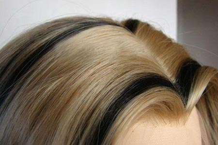 種植美人尖價(jià)格大概是多少錢(qián)