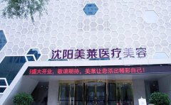 沈陽自體脂肪豐太陽穴哪個正規(guī)醫(yī)院做的自然？推薦實(shí)力醫(yī)院美萊！