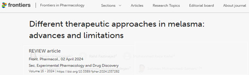 美萊學(xué)術(shù)|2024黃褐斑治療新進展盤點！