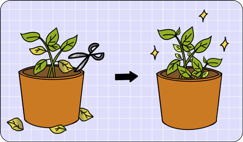 想要嫩膚，應(yīng)該選擇做光電還是水光